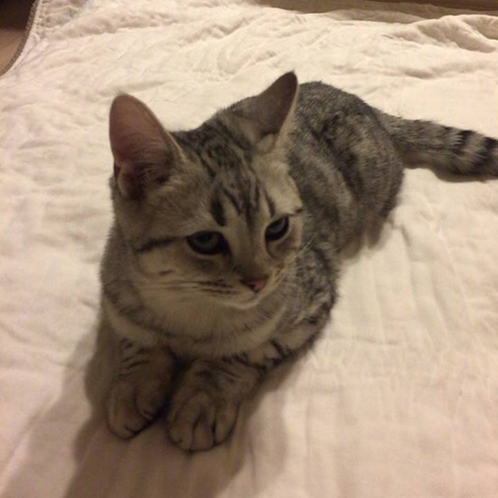 6f4c5804 781d 468a 911b 303b68c7255d