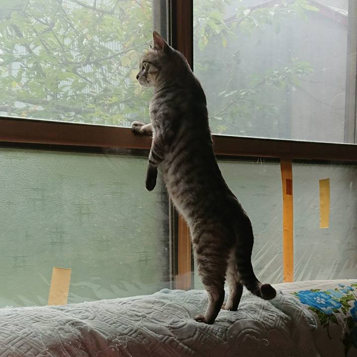 6f4c6e1f 7153 44da 95a9 d72124faabc2