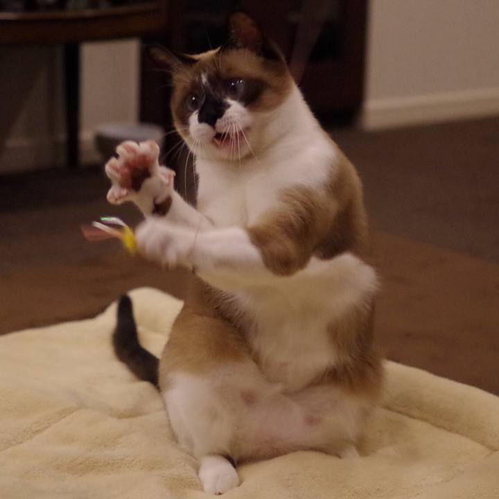 6f4c8c57 e123 4452 bf36 e35afccf9f3a