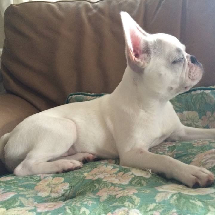 6f4c99a7 66b1 44f3 968f c41016aeacd1