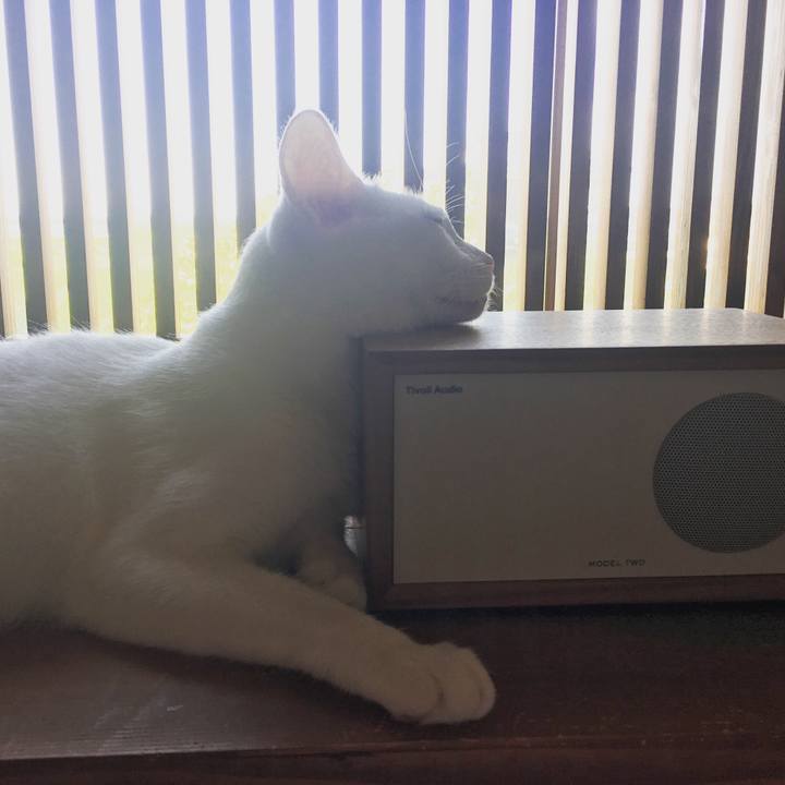 6f4ca37e 6b2a 4337 b248 3e383f434191