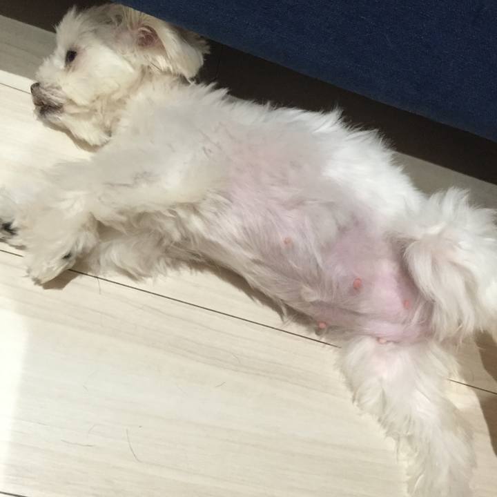 6f4cc8d1 13b6 45c1 ad4f 42139e9ac330