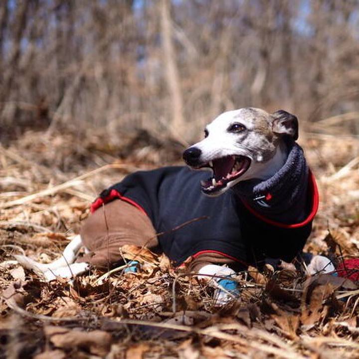 6f4cf369 34c7 463a bfbe 48302678731b