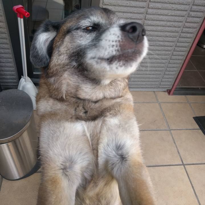 6f4d57b1 9f7a 4119 a722 a73e17024f62