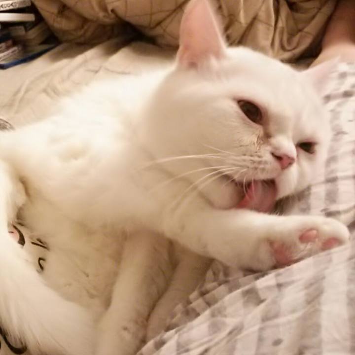 6f4d67e7 ebb1 4c34 b500 b219c18c9e3c