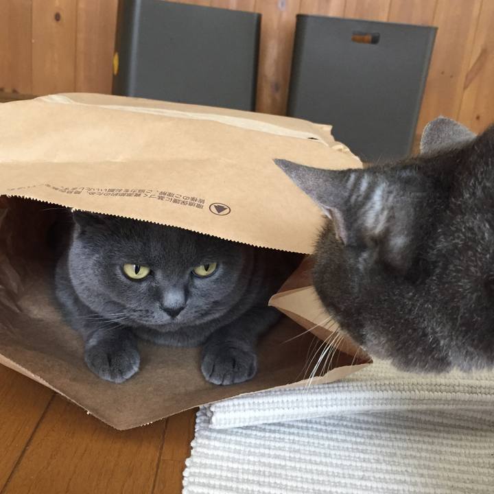 6f4d7247 a7e3 4d9e 8b00 bf2d69a27250