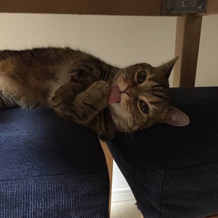 6f4daf63 5207 4882 b2bd e4648d91e571