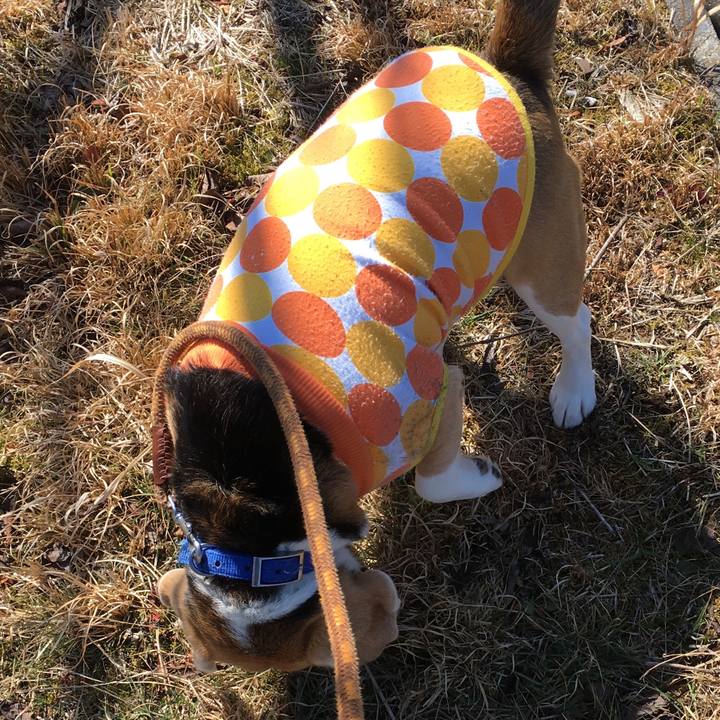 6f4dfa47 d070 433f ab3c bb9ef8c08d34