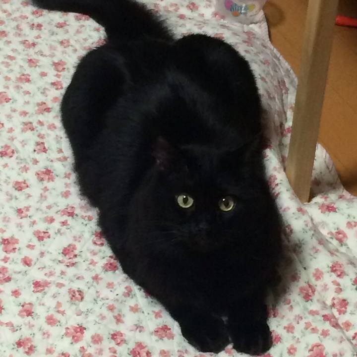 6f4e26ef dfb0 4bf0 8973 e428da6bf098