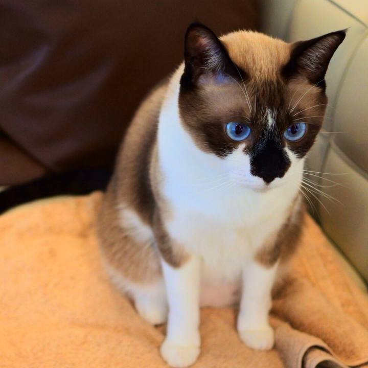 6f4e7c5d 36b3 4b47 a20c d11b390751d5