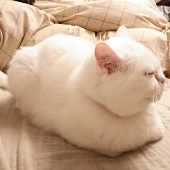 6f4f1a46 ab2c 48c5 8e53 966b038a9d61