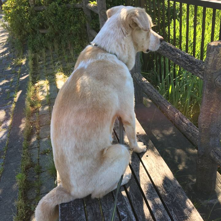 6f4f3059 9984 453c aa63 73abbdd9bf10