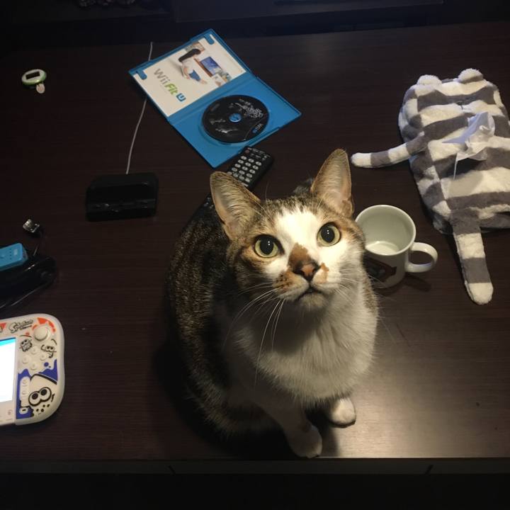 6f4ff3ca a5cc 467d 9869 ebfb56b2ae8a