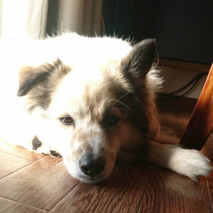 6f505884 a4e3 4f9e a3a0 35017b14251c