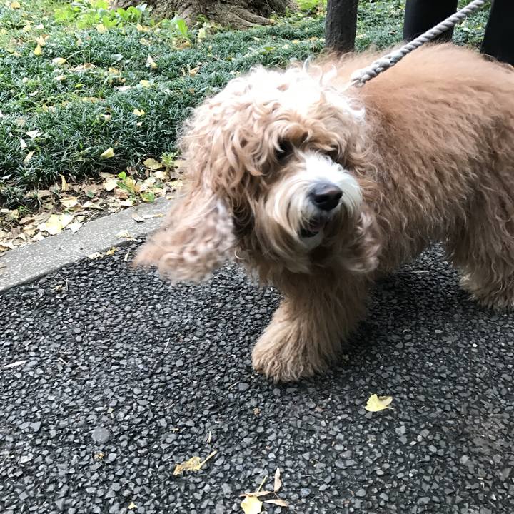 6f50ec38 cda0 46e8 b3c1 181749df5ba8