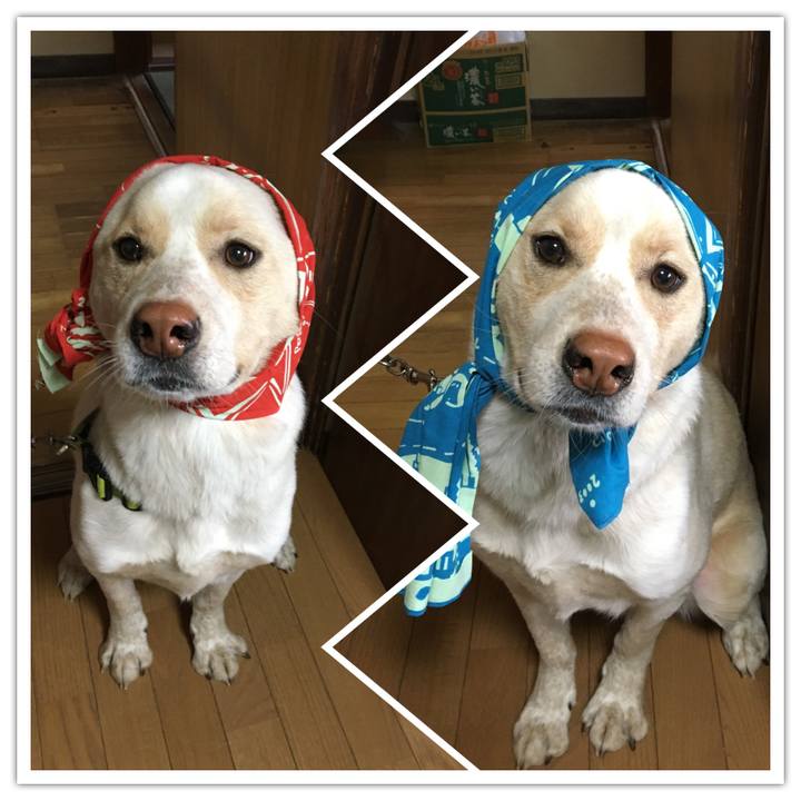 6f51a95a cd85 497b bf86 1bf3c05a8dcc