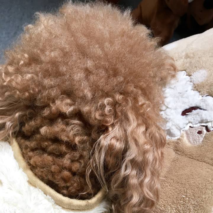 6f529aba d607 4685 87b0 43649e8c80ff