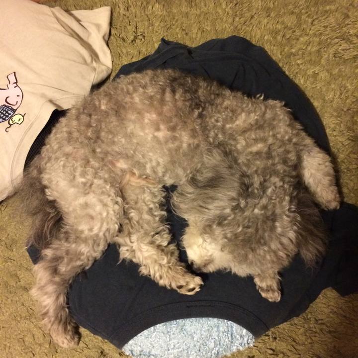 6f5367e2 108e 47b4 b22c 6561b9e69afa