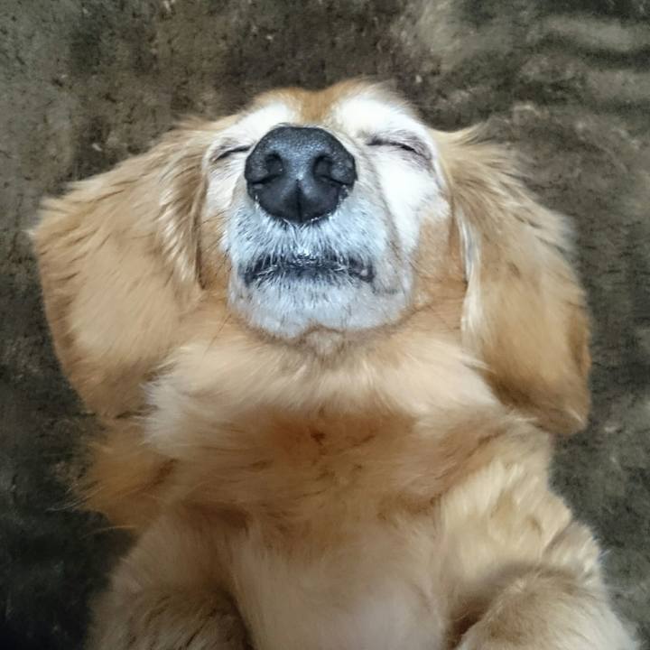 6f53aecd 2883 4f1b b05f 3e73783aa887