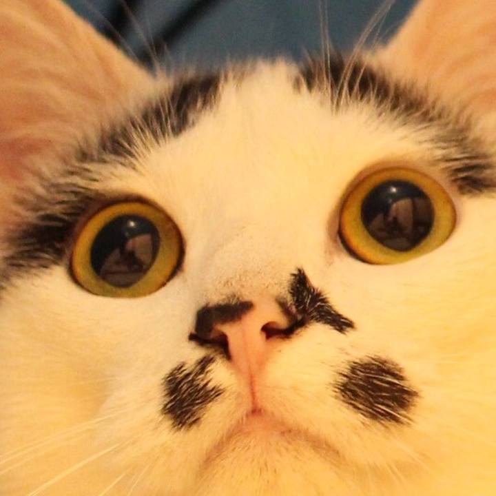 6f5402dc 8461 4acc a5d6 9e73168e6adf