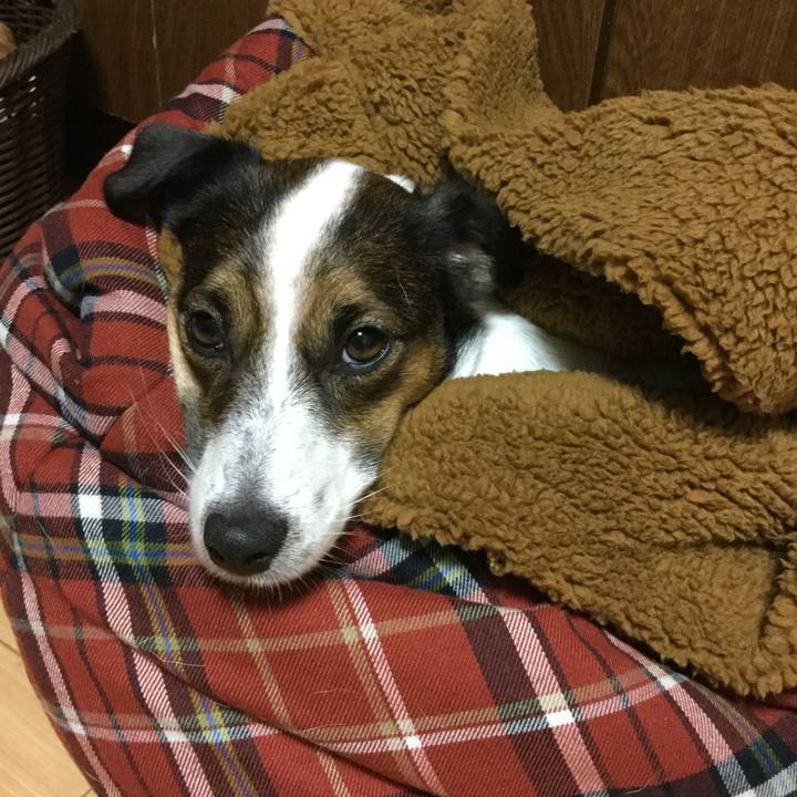 6f544d1d 1b6a 4694 8a73 af5af247da6d