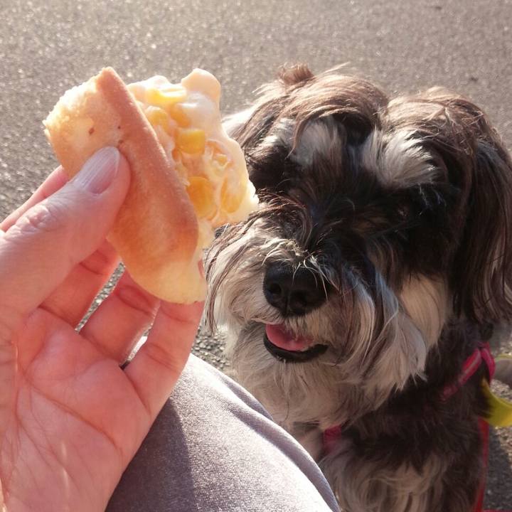 6f54abd9 18a8 4140 8a40 b49868306193