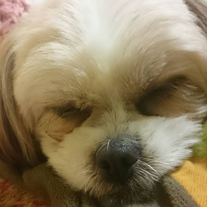 6f54cc9b fdb1 470c a10b 42f0dd6168af