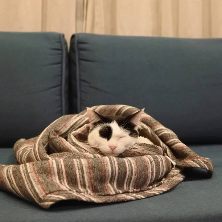 6f5559eb 66e2 4171 a54f 3f7e2b9dc48b