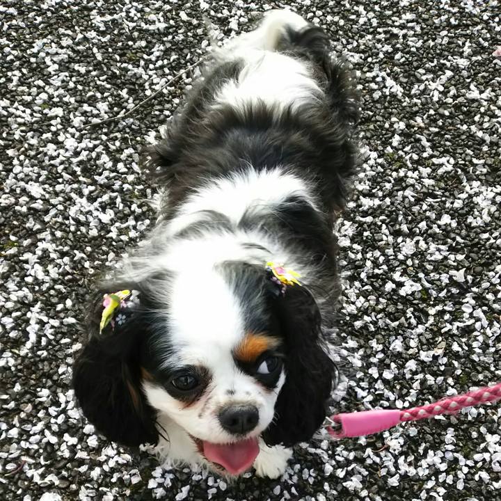 6f55c664 3619 42d3 8535 165e2c69083c