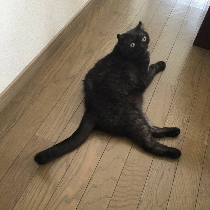 6f55f972 e079 451a 8716 4307ca27660a