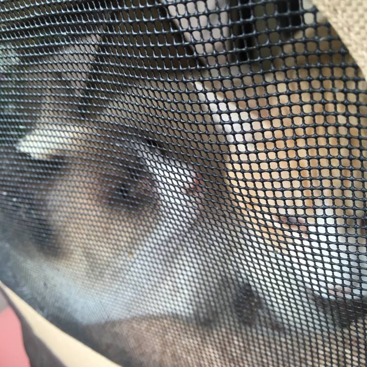 6f5617d0 e28b 42fb b1a4 1cb3162115c7