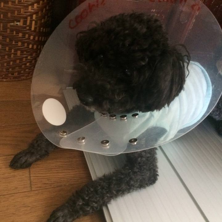 6f56e7c7 a33b 4509 9425 3144c1bd106f