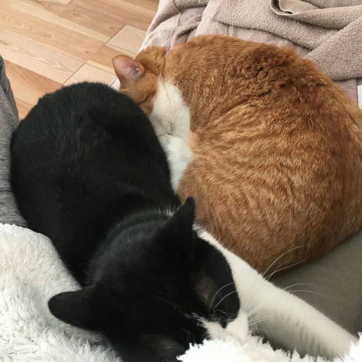 6f575a9b 68cc 465e b5fa 65036e380436