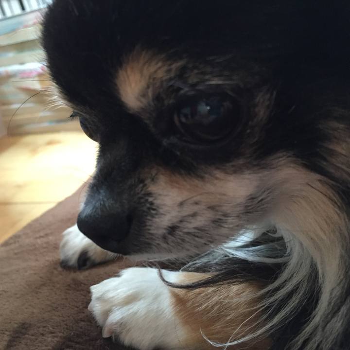 6f579eb6 7b6f 4022 bf76 af71329c8a47