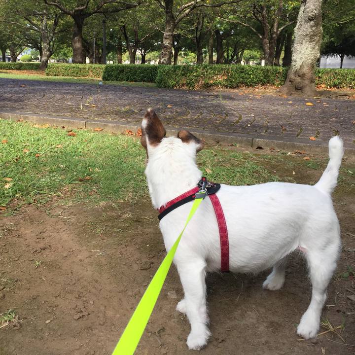 6f57b032 aa22 4e8b b596 049d92bd6bfc