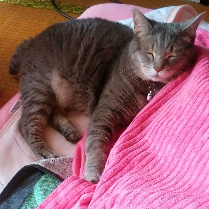 6f57cb6d 0c6f 4296 904c 27358d946835