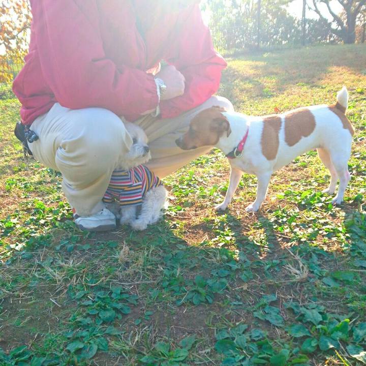 6f5803f0 c9f6 41da b6e7 3810b7d6cbd4