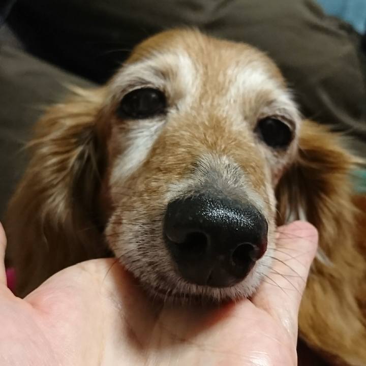 6f5806c9 c7a9 459e a12d aa1e5351615b