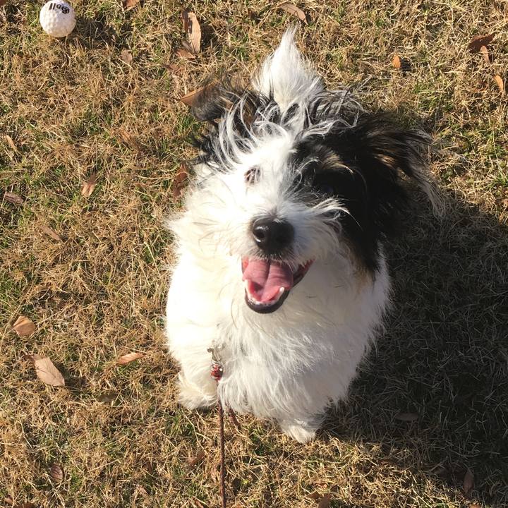 6f5811d4 b63f 485e 9866 d8854f50f05d