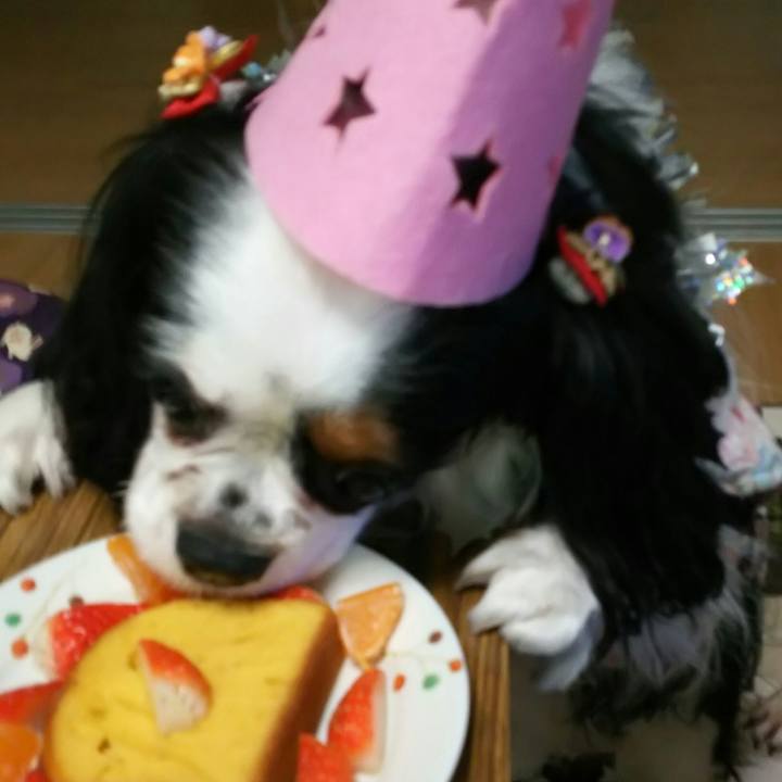 6f58261d c586 4e40 a8e7 c7e4f91daf2e