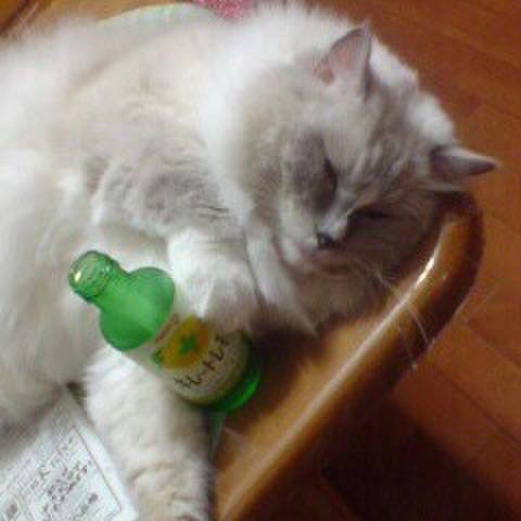 6f58569a f86d 43ca 8e7a 0dcc60ecec0b