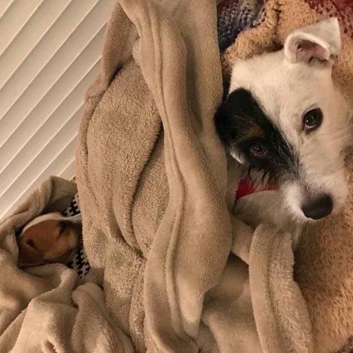 6f58a5dc b15b 4b2c 9abf e014d303ba1e