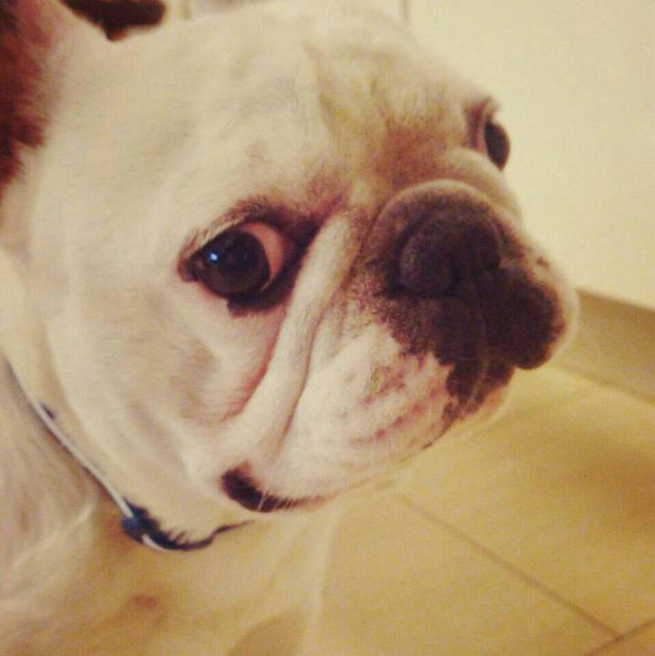 6f598d1c d15e 4199 a5d9 a6824673043a