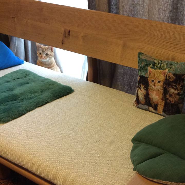 6f59ecfb 387d 4d69 886a 0834afd5b0b5