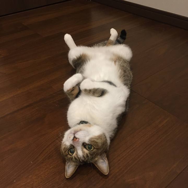 6f5a2d45 9834 43f7 9ab3 b3f8aeda6249