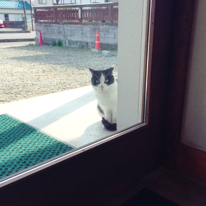 6f5a6eee 55d9 47d8 94c8 fea34263ee86