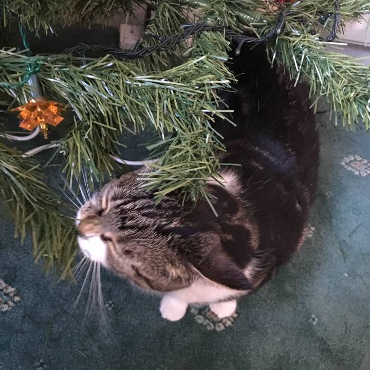 6f5a83ef 49d3 40fa a285 02f9b4ad016a