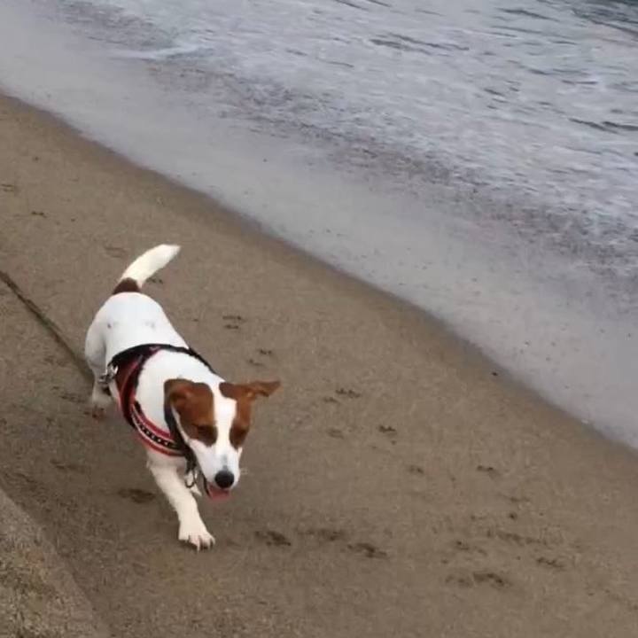 6f5aa020 58df 43cc aa9f cdc1e31cfbbd