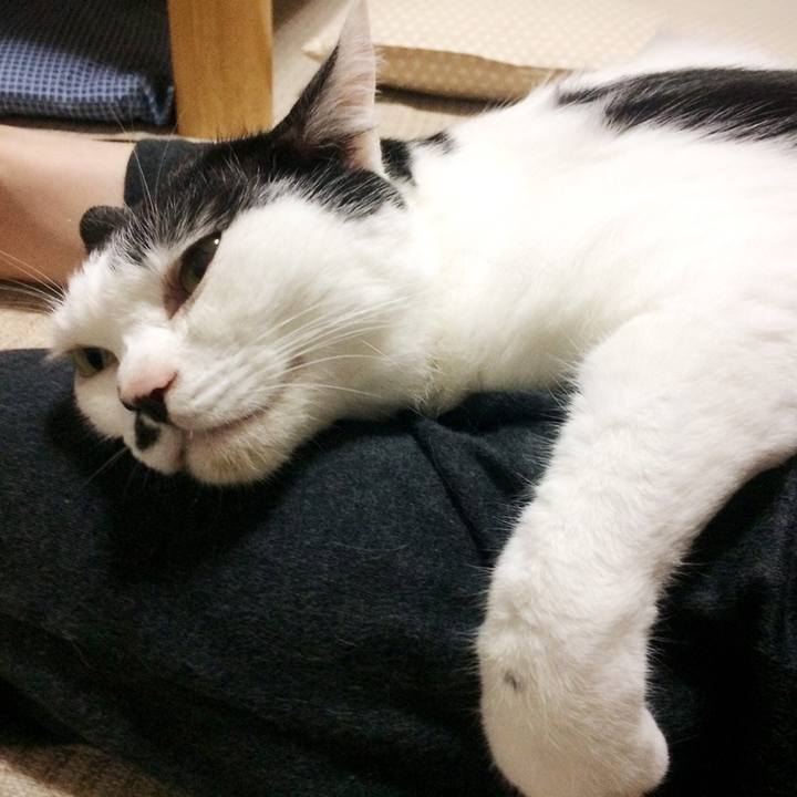 6f5af57c be4f 43ea 82da 222ae93b8cb1