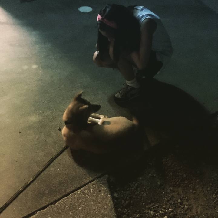 6f5b9783 21b2 4bb0 8954 5d2d833545b0